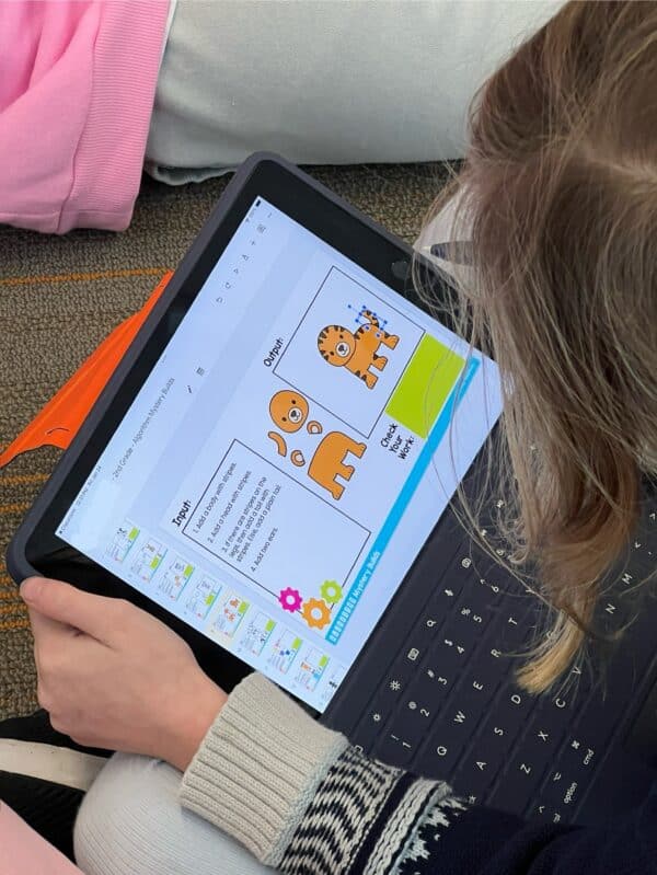 Algorithm mystery builds (3) Algorithm mystery builds (3)